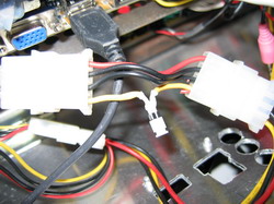 Molex bomba 